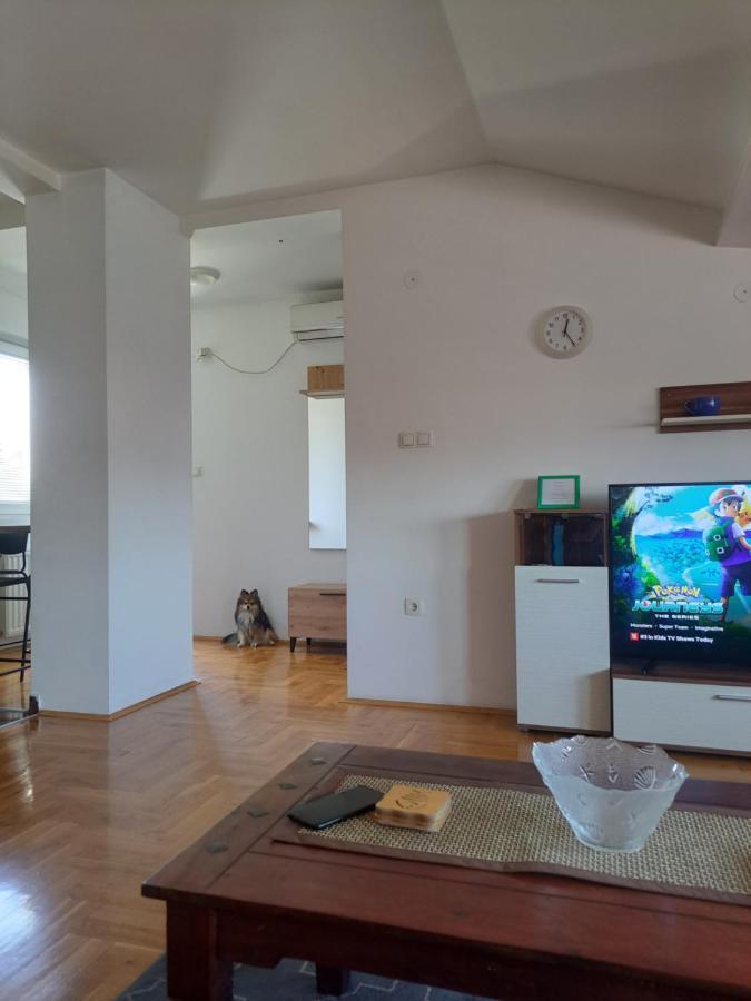 Apartman Zvezdica -Smederevo, Netflix Exterior foto