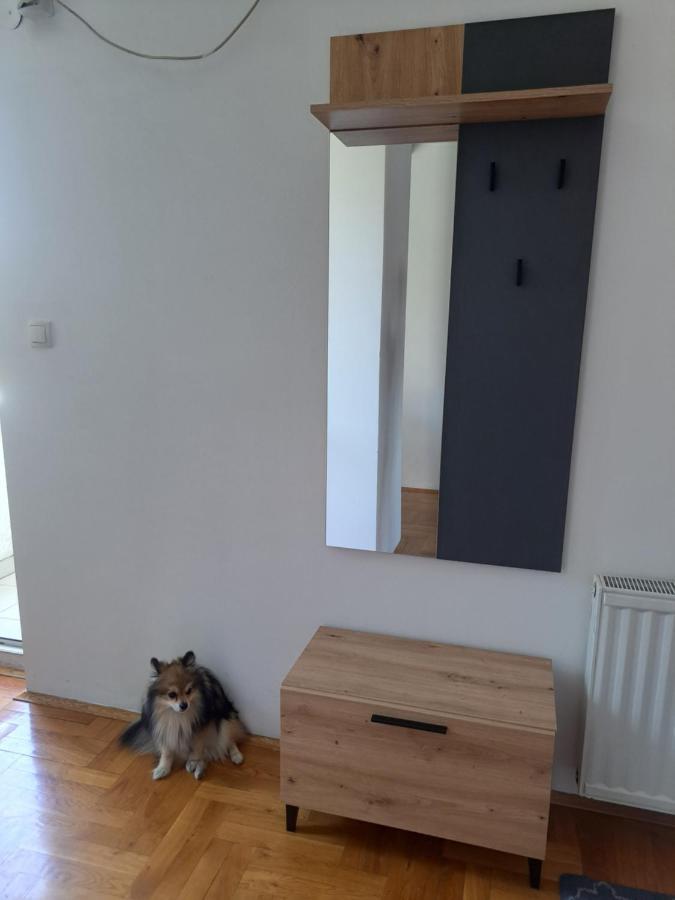 Apartman Zvezdica -Smederevo, Netflix Exterior foto